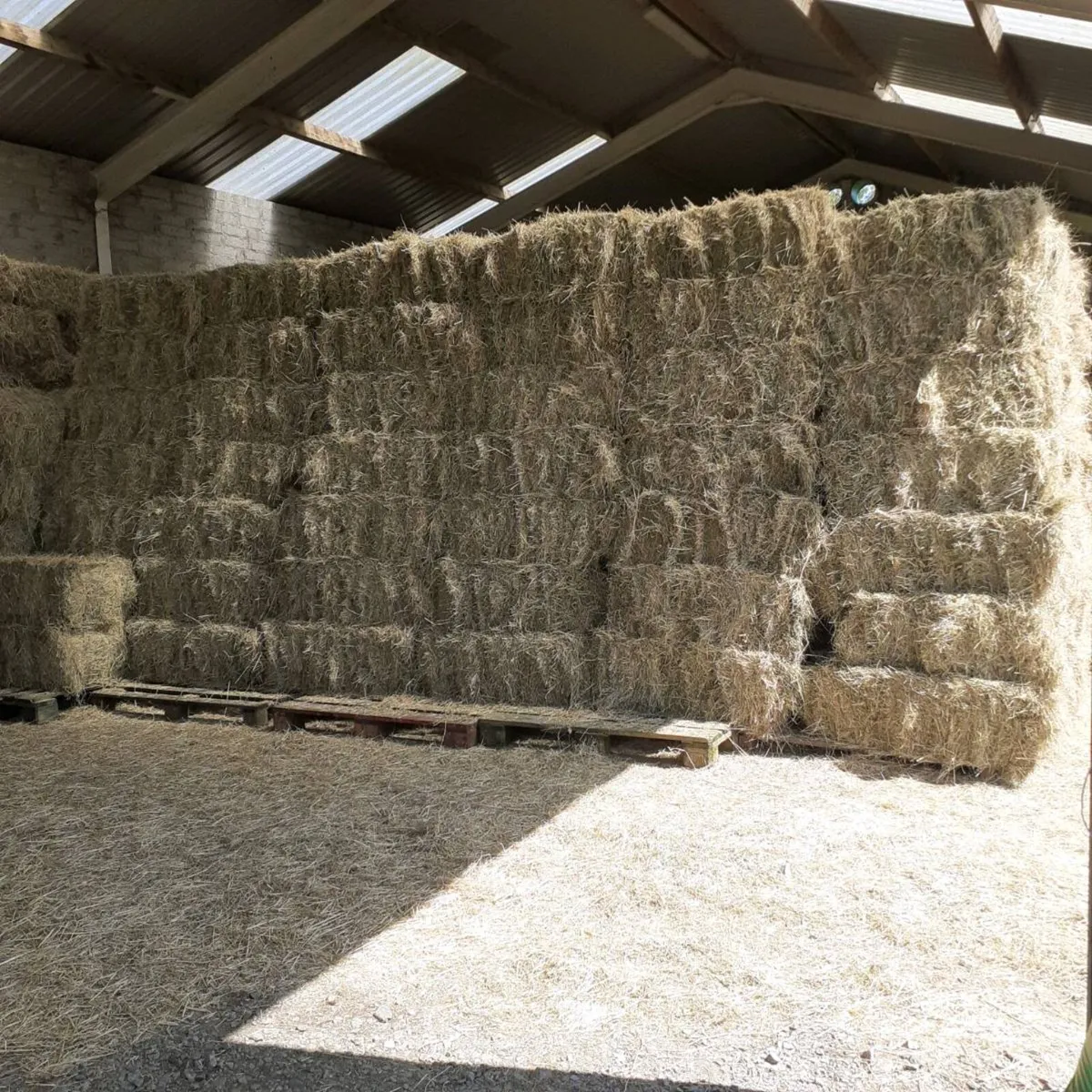 Horse Hay - Image 1