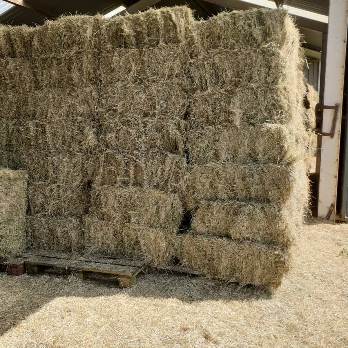 Horse Hay - Image 3