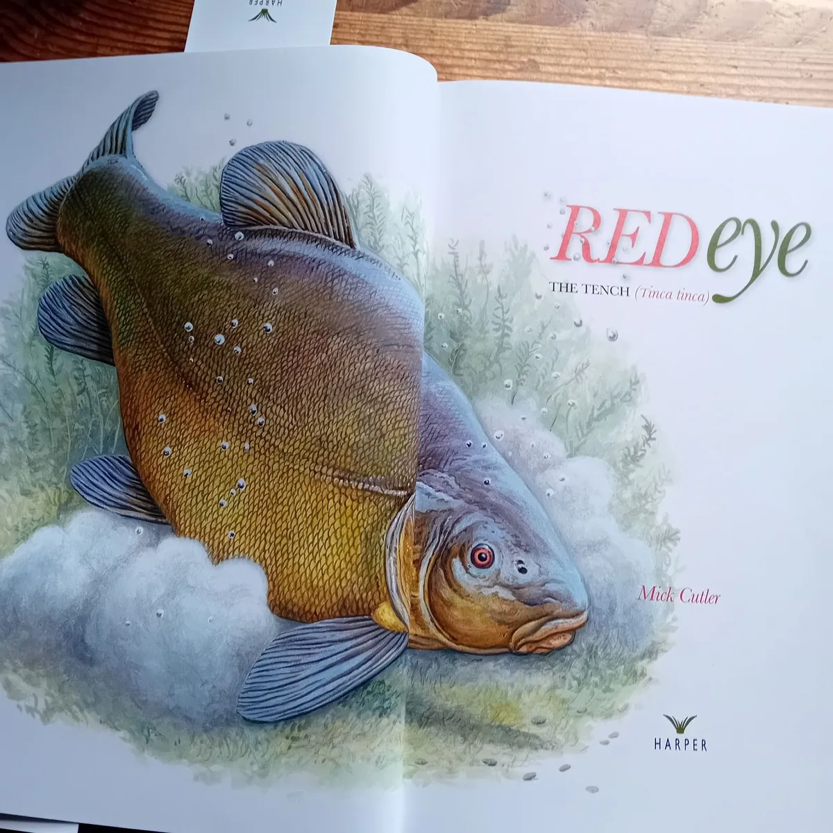 Specialist Tench Book - Image 2