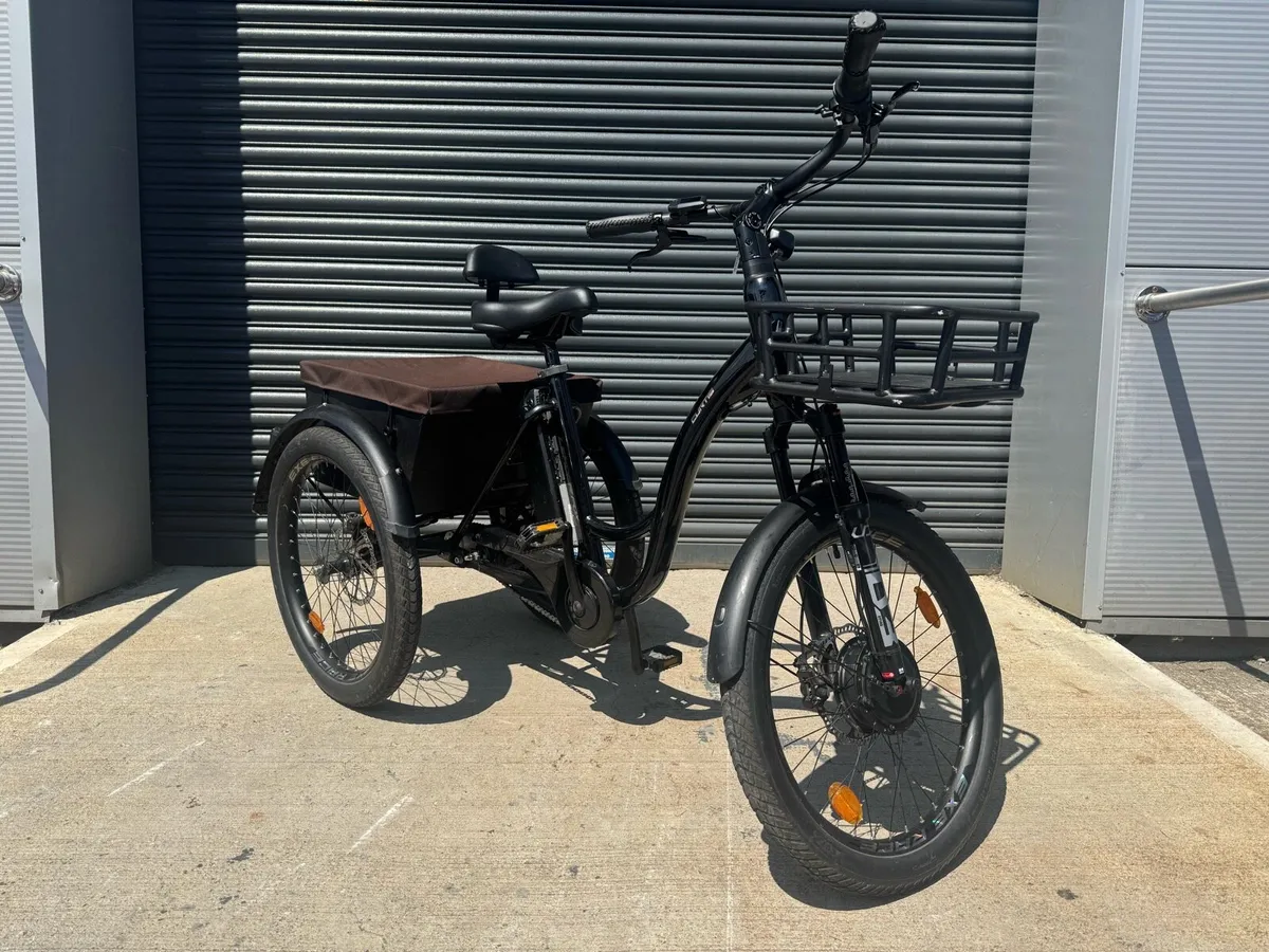 Leaderfox Electric Trike 2 Batteries - Image 1
