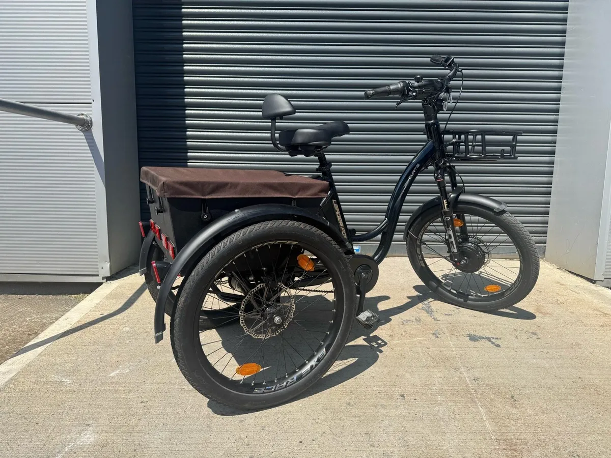 Leaderfox Electric Trike 2 Batteries - Image 3