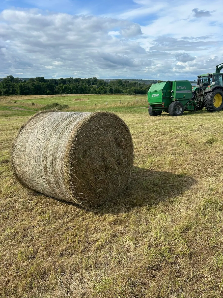 Hay for sale - Image 2