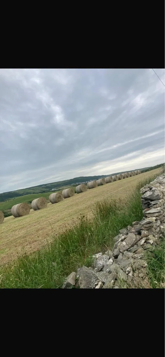 June Hay