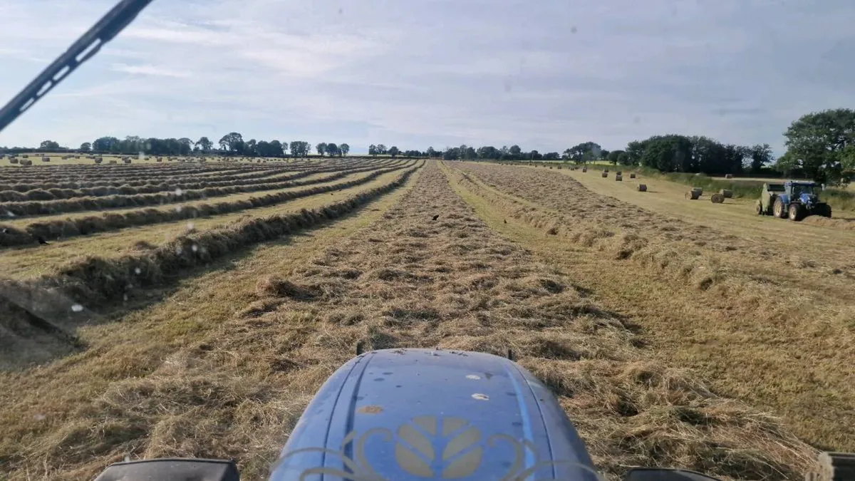 Hay for sale - Image 1
