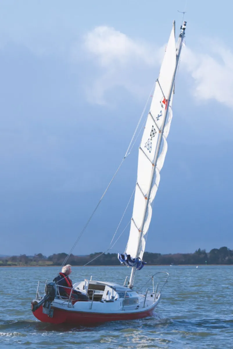 Junk Rig Splinter 21 yacht - Image 3