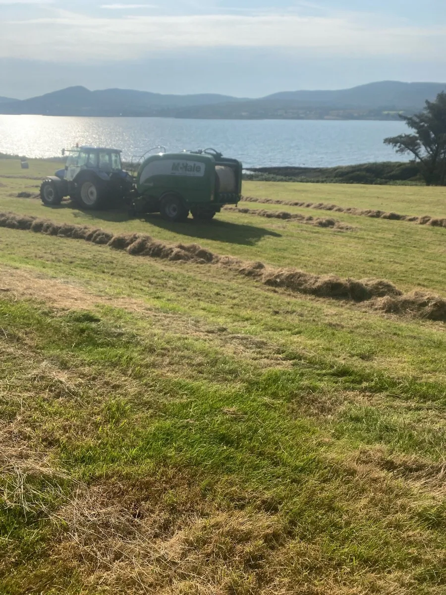 Hay - Image 2