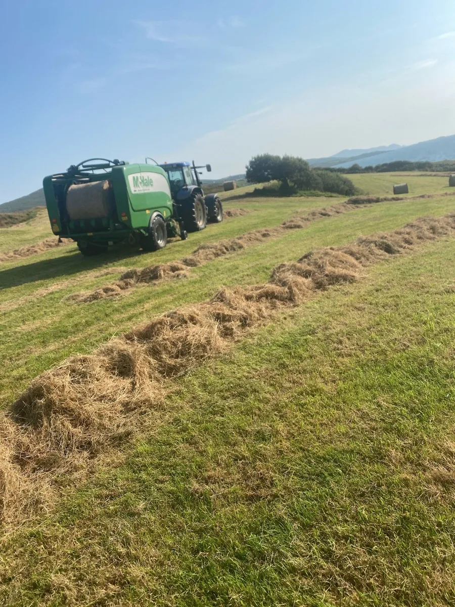 Hay - Image 1