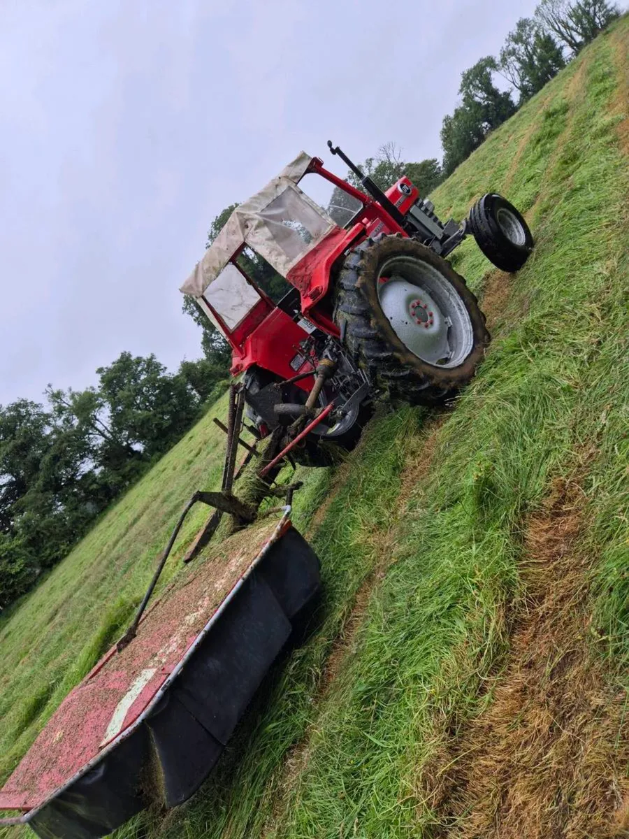 Massey 178 - Image 3
