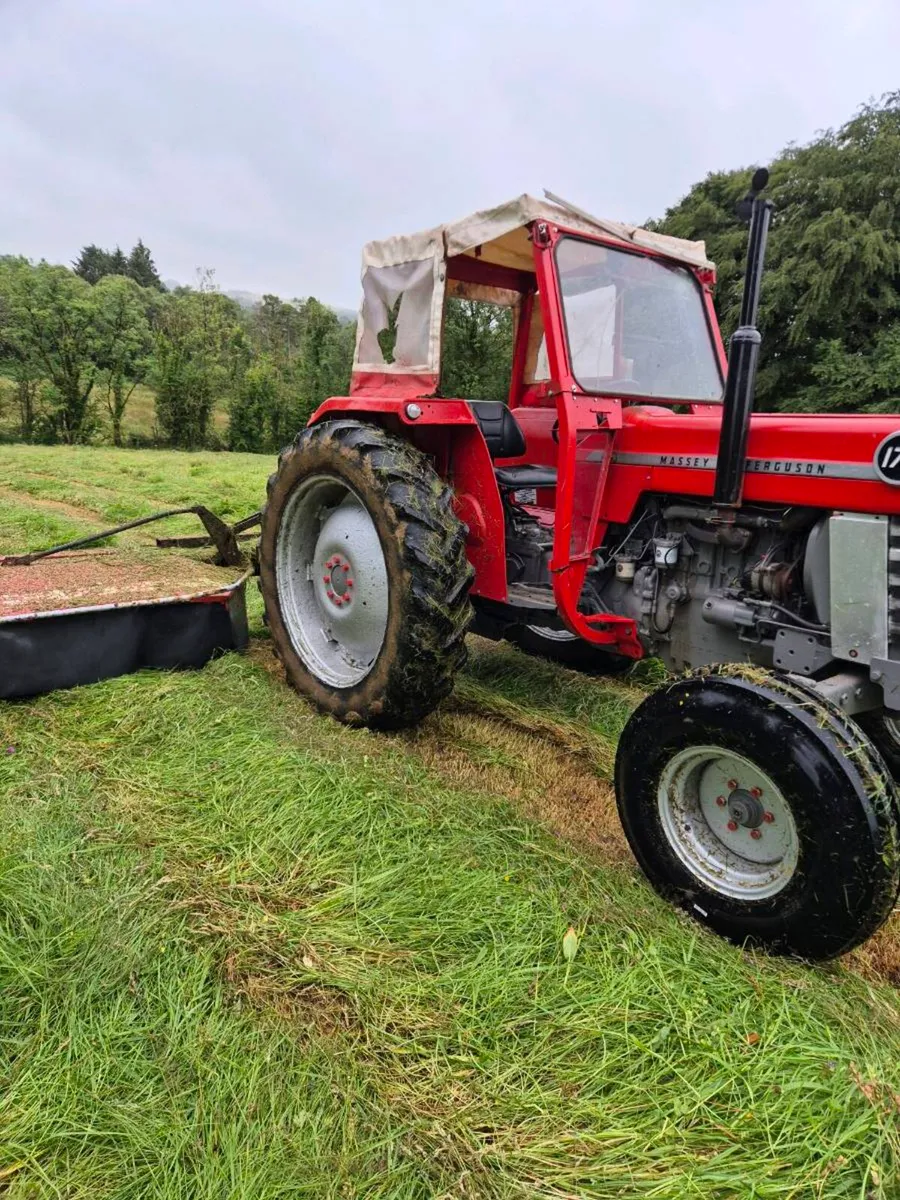 Massey 178 - Image 2
