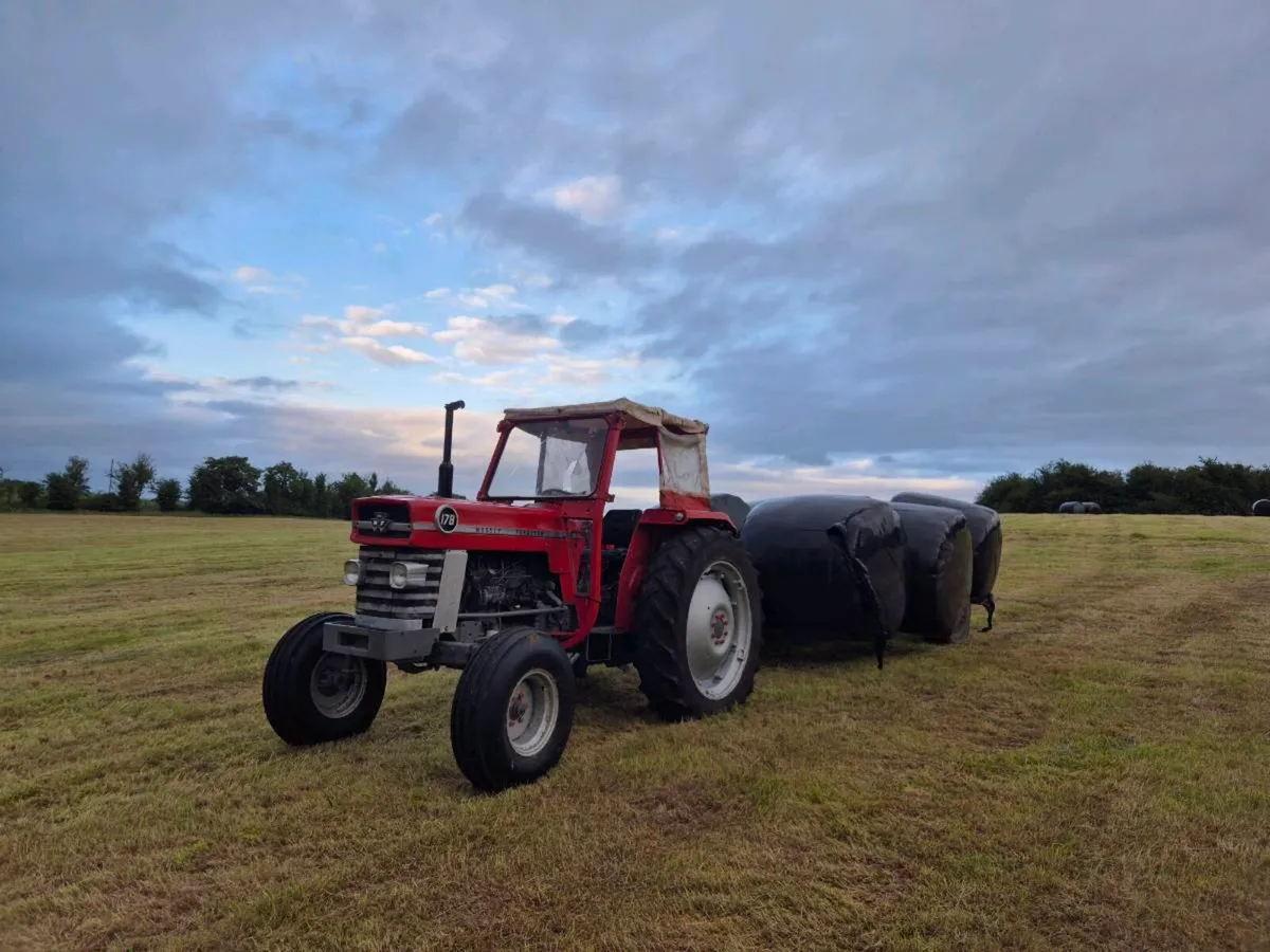 Massey 178 - Image 1