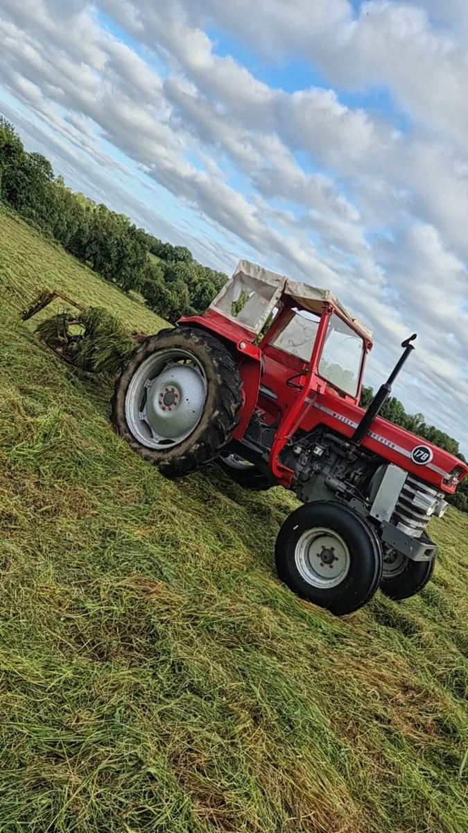 Massey 178 - Image 4