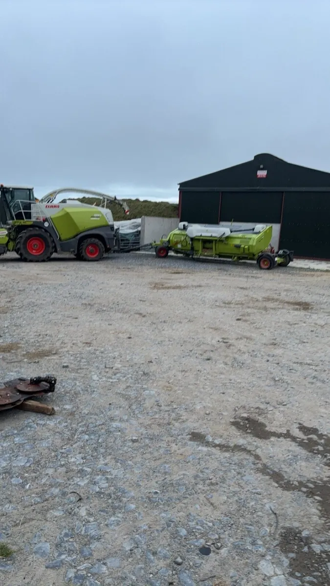 Harvester and Wholecrop head for hire - Image 1