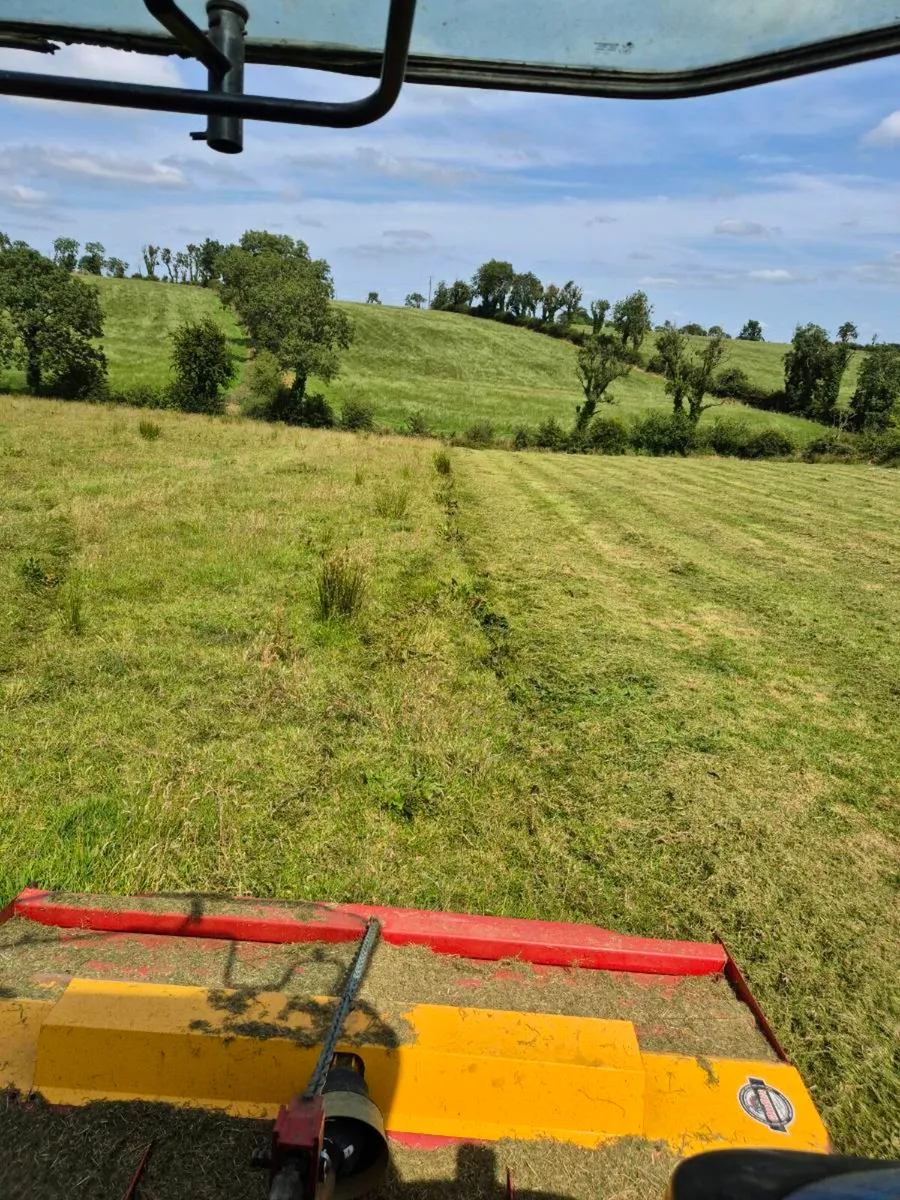 Topping service Cavan Area - Image 3