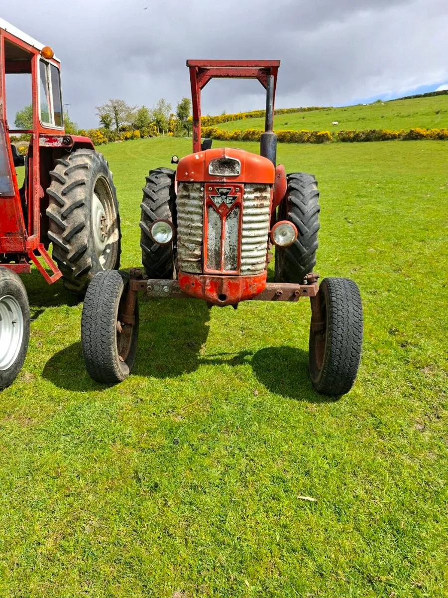 Massey ferguson 65 - Image 2