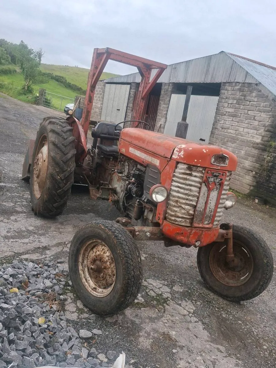 Massey ferguson 65 - Image 4