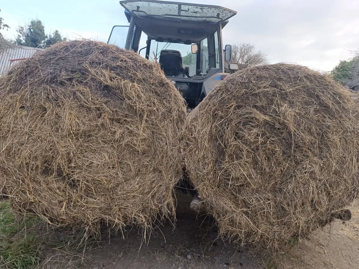 TOP QUALITY ROUND BALES OF HAY DRY - Image 4
