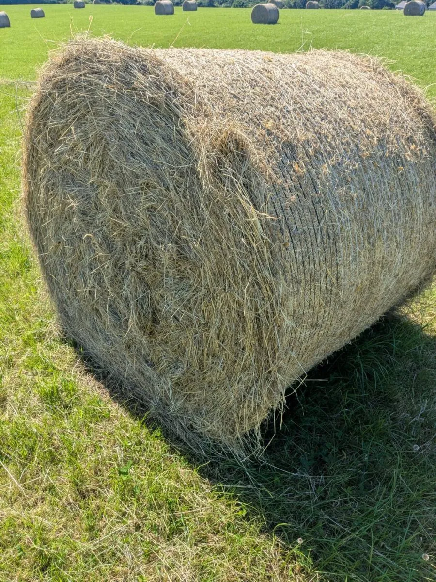 Hay bale - Image 1