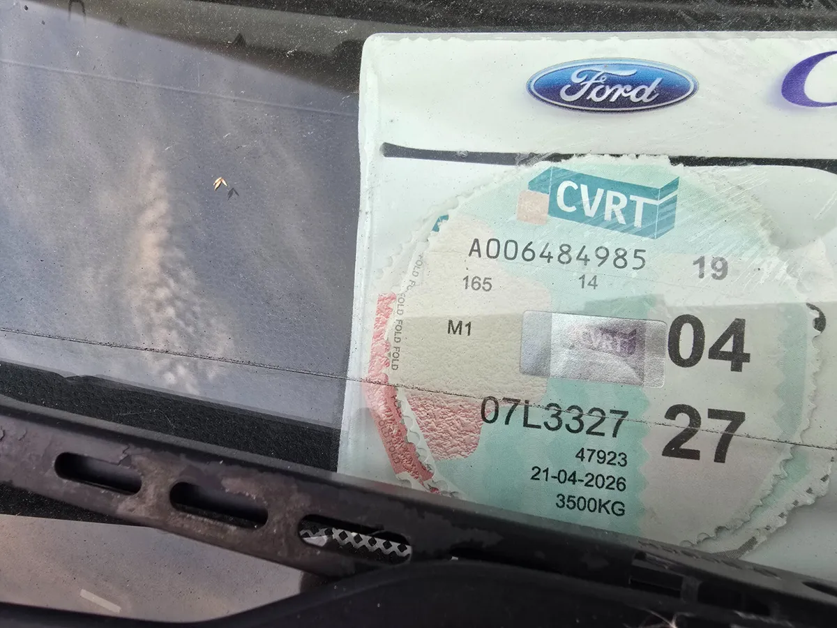 Camper rooler team - Image 4