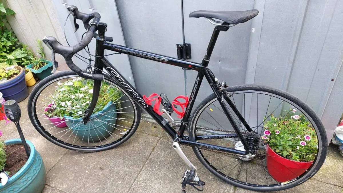 Carrera Vanquish Road Pro - Image 3