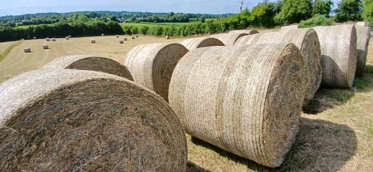 Round bales organic hay - Image 1