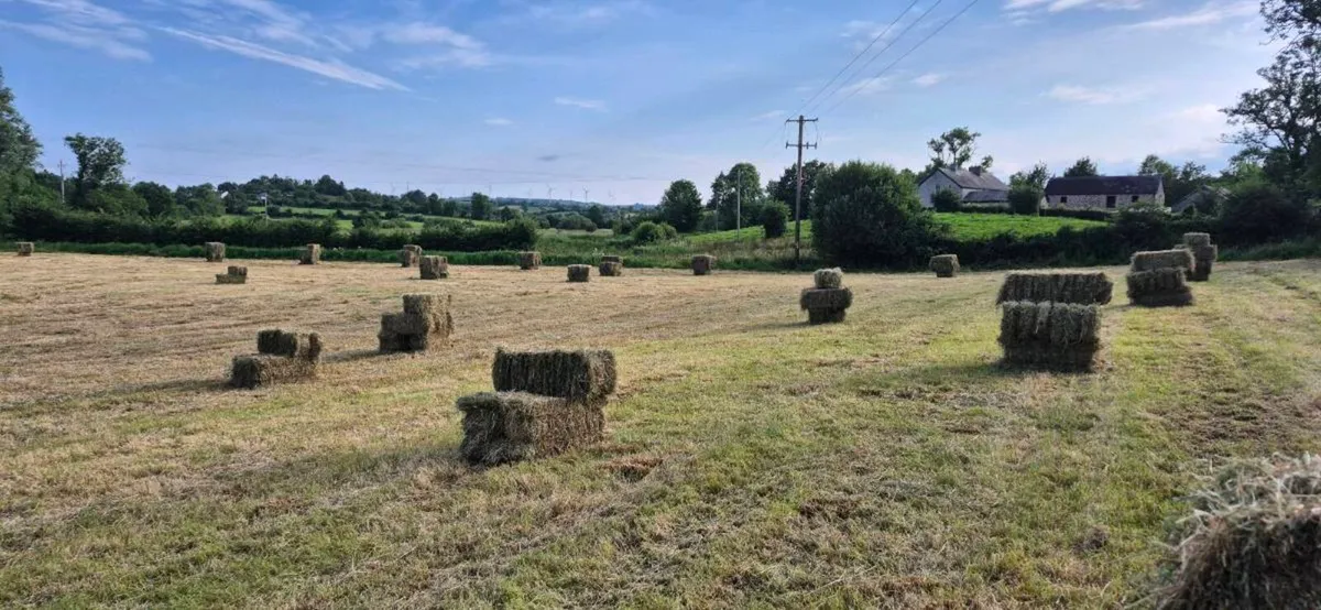 Square bales of.hay - Image 1
