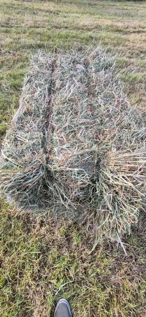 Square bales of.hay - Image 2