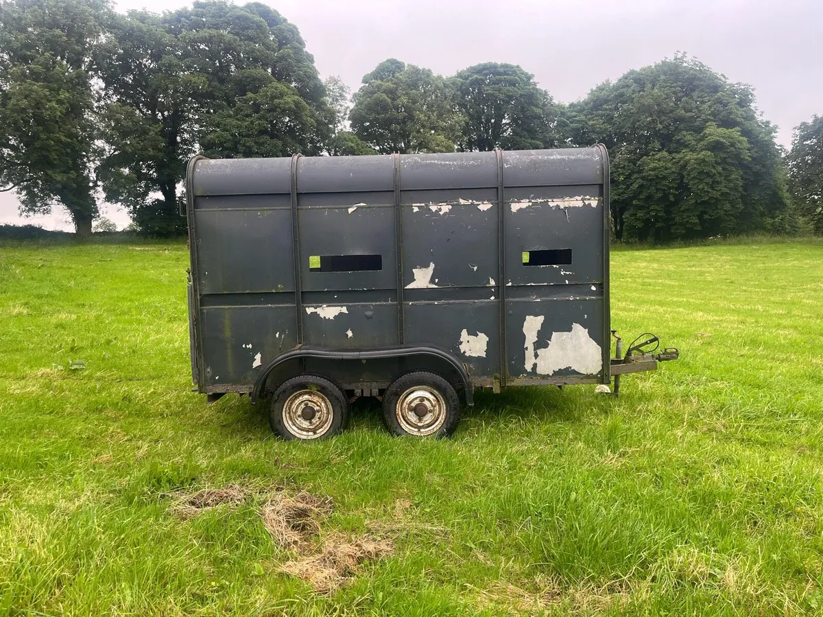 Cattle trailer - Image 2