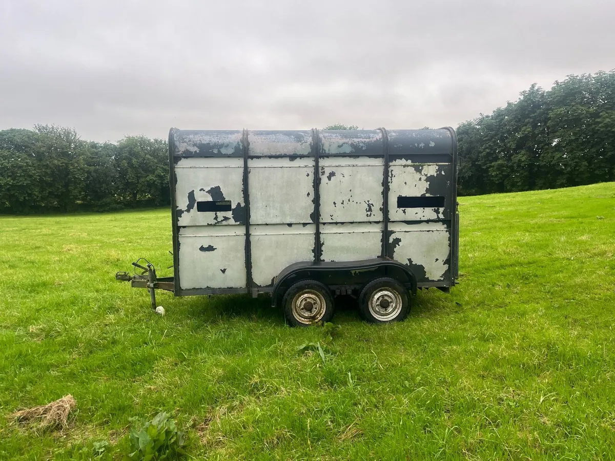 Cattle trailer - Image 3