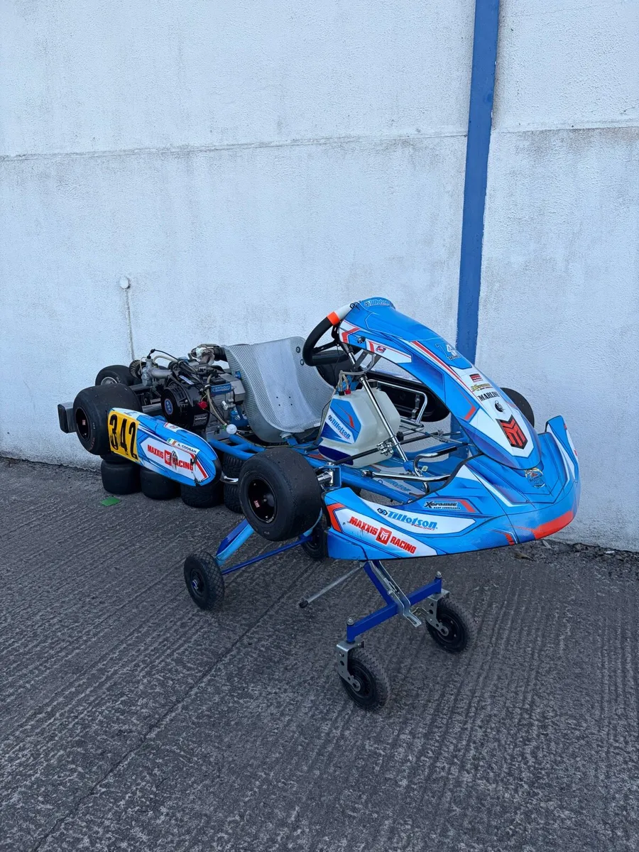 Tillotson T4 Race Kart,Ready to Race Package - Image 2