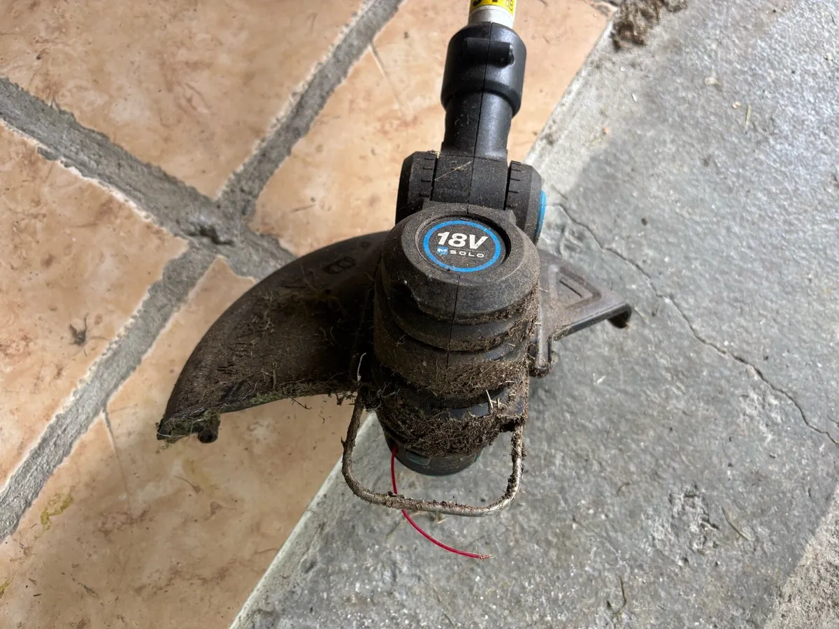 Grass Trimmer - Image 4