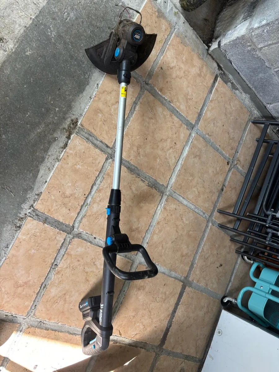 Grass Trimmer - Image 1
