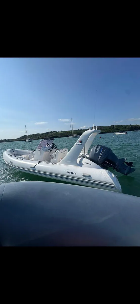 Brig 6.5 Rib - Image 2