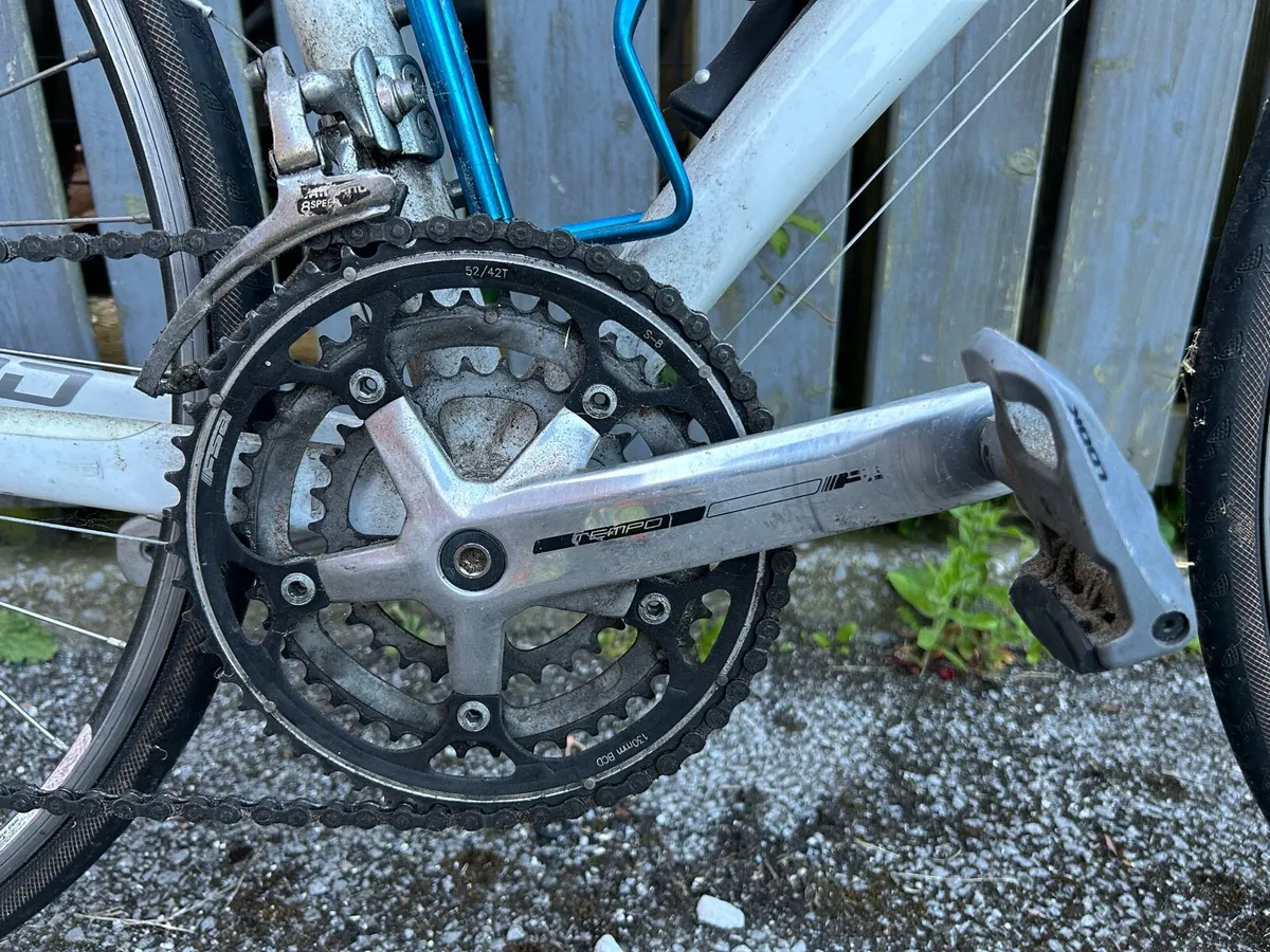 Giant Rapid 4 (Size Medium) - Image 3