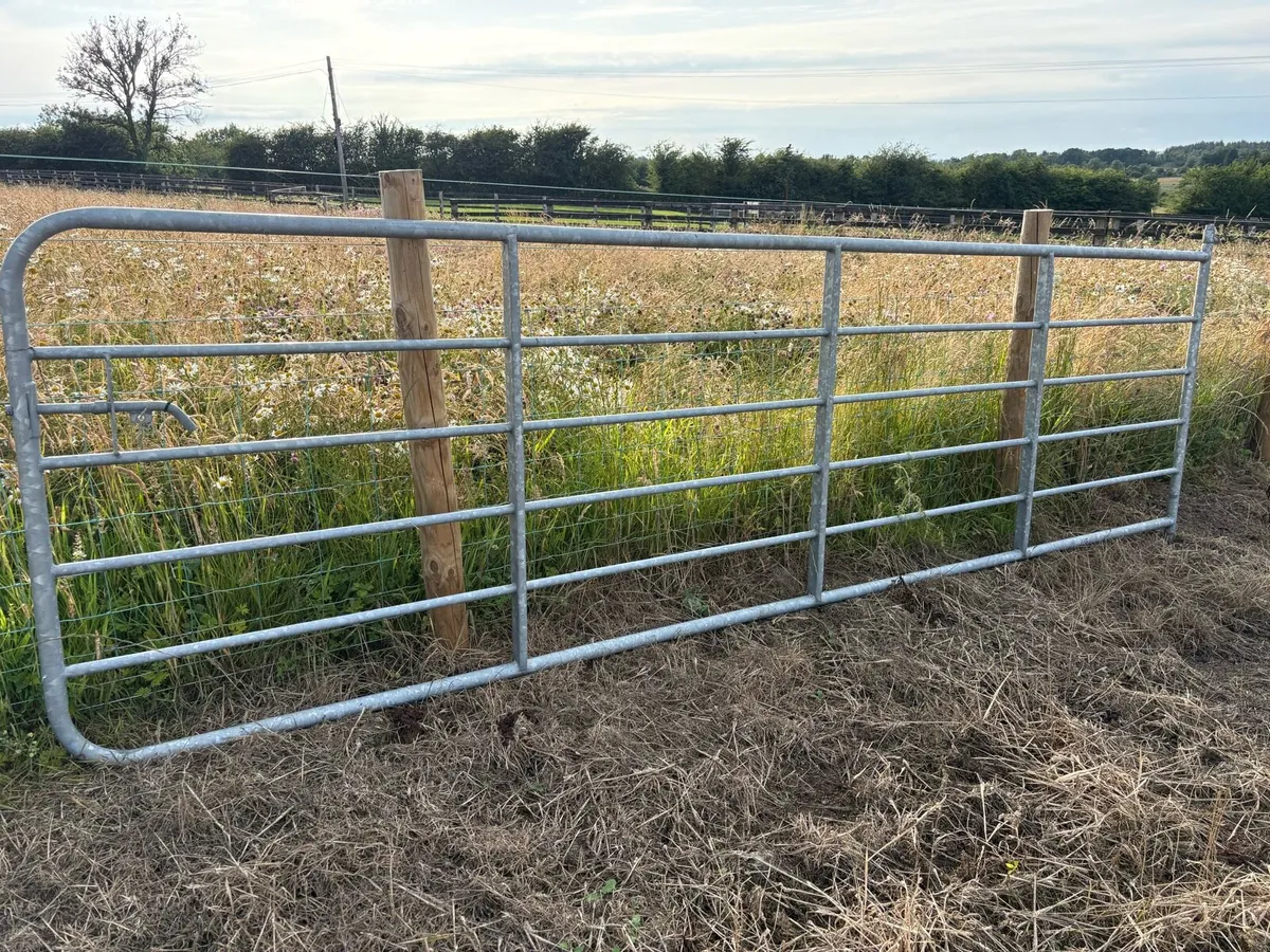 Galvanised farm gate - Image 2