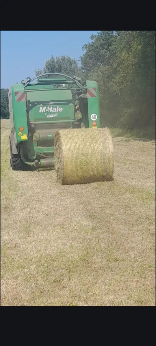 Hay - Image 1