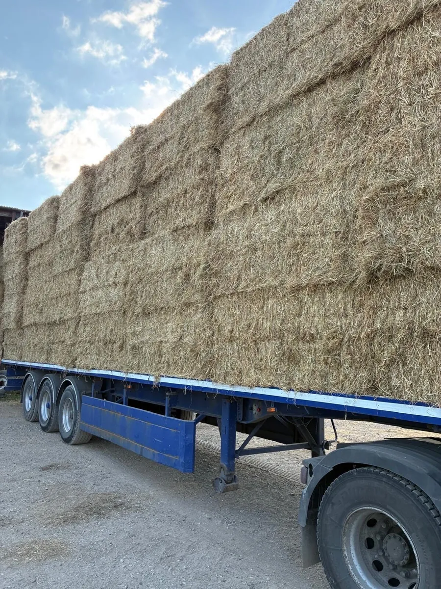 Square bale hay