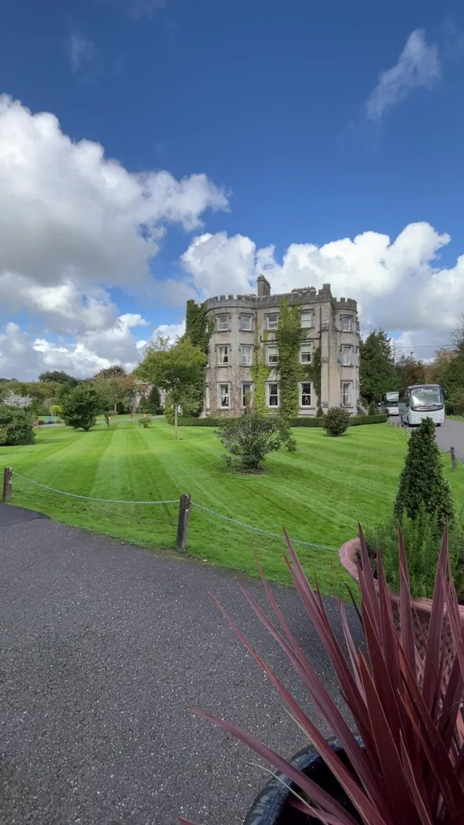 Garden Maintenance - Household - Image 2