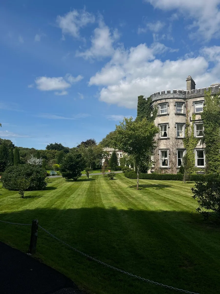 Garden Maintenance - Household - Image 3