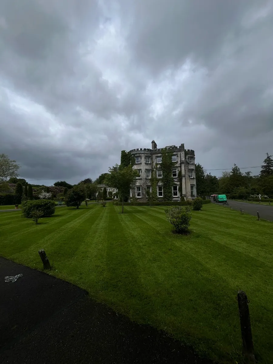 Garden Maintenance - Household - Image 4