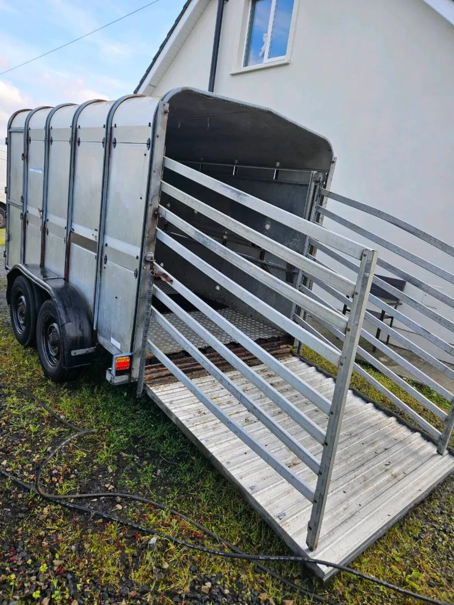 Cattle trailer - Image 4