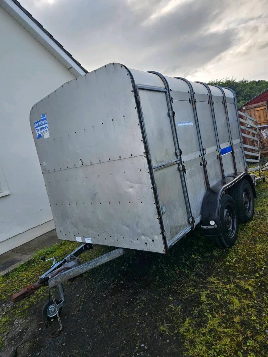 Cattle trailer - Image 2