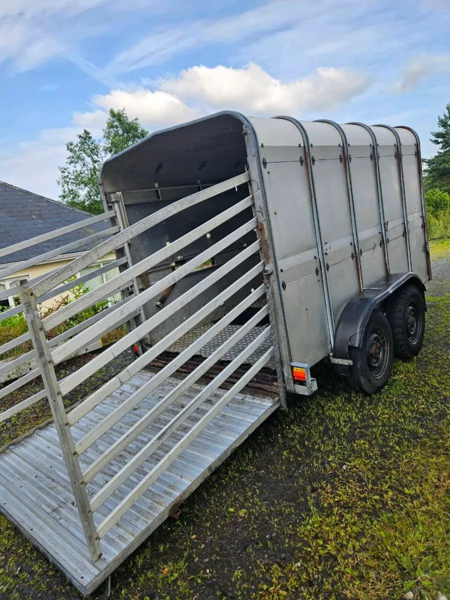 Cattle trailer - Image 3