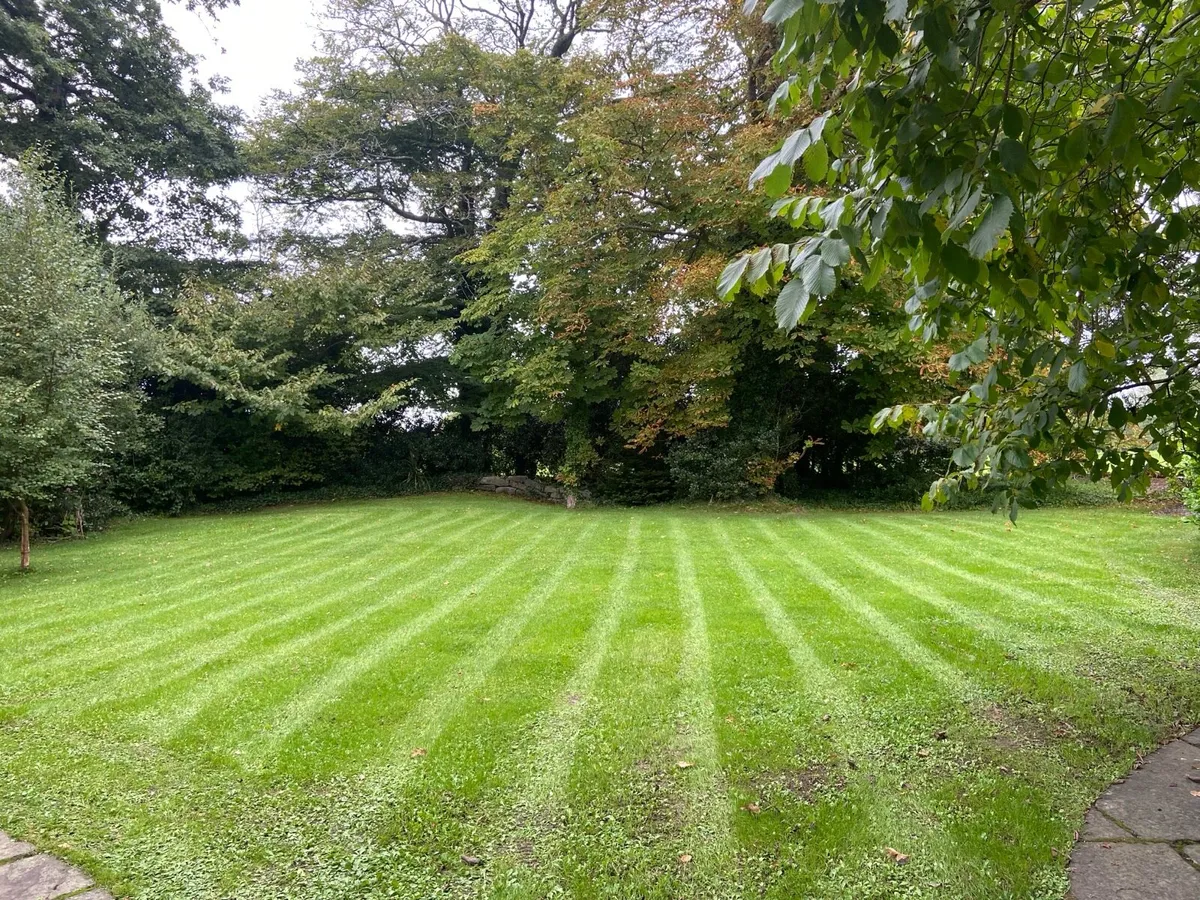 Garden Maintenance - Household - Image 1