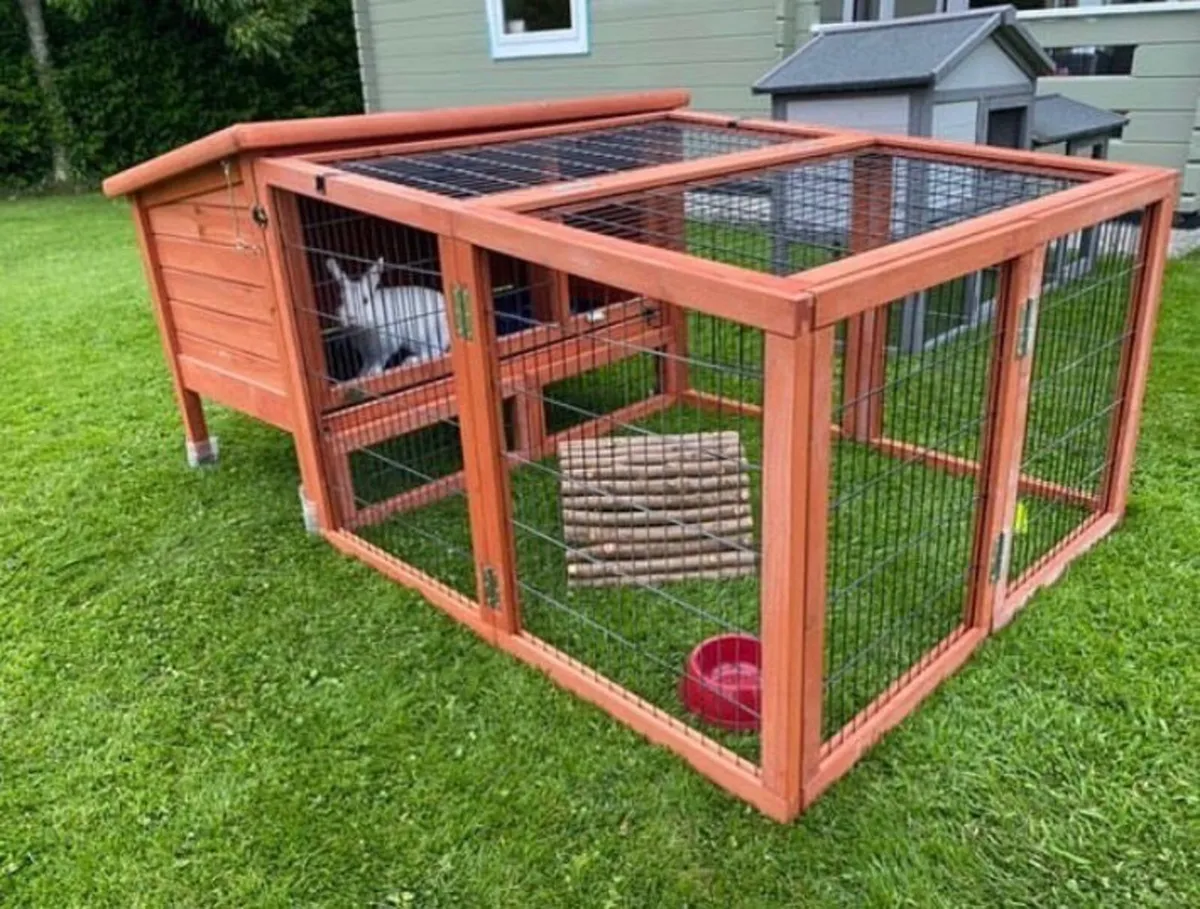 Rabbit and Guinea Pig hutches - Image 2