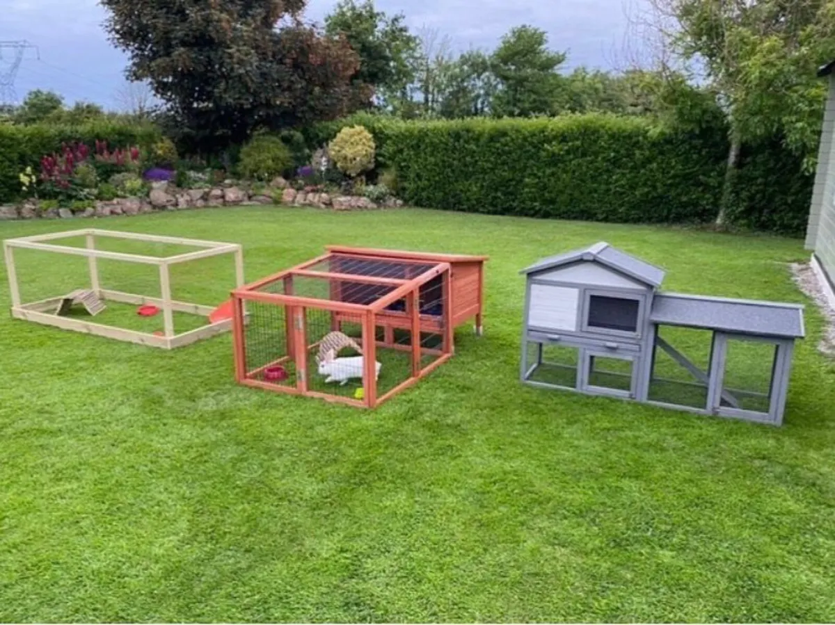 Rabbit and Guinea Pig hutches - Image 1