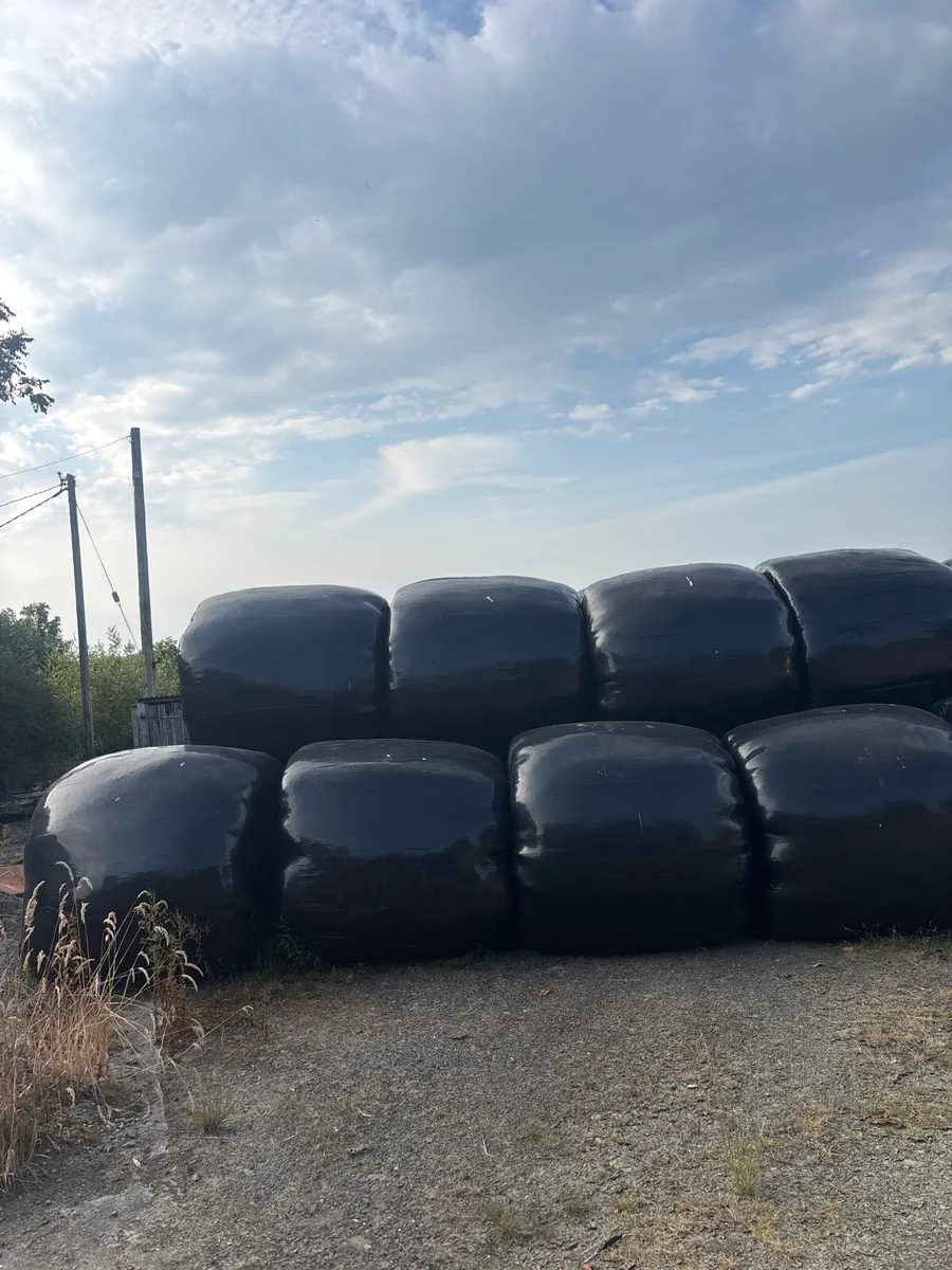 Haylage Bales