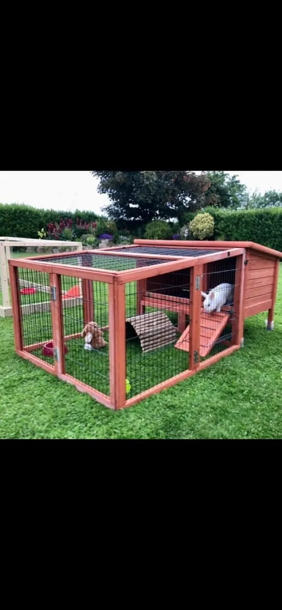 Rabbit and Guinea Pig hutches - Image 4