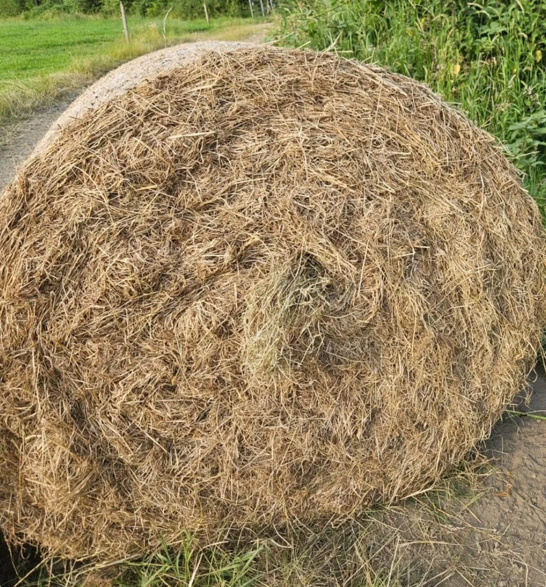 TOP QUALITY ROUND BALES OF HAY DRY - Image 2
