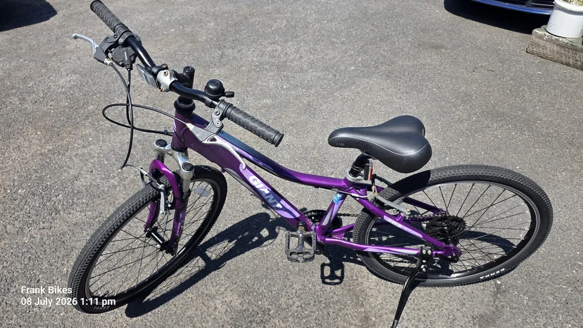 Giant 24" Hybrid Bike – 8 Speed - Image 1