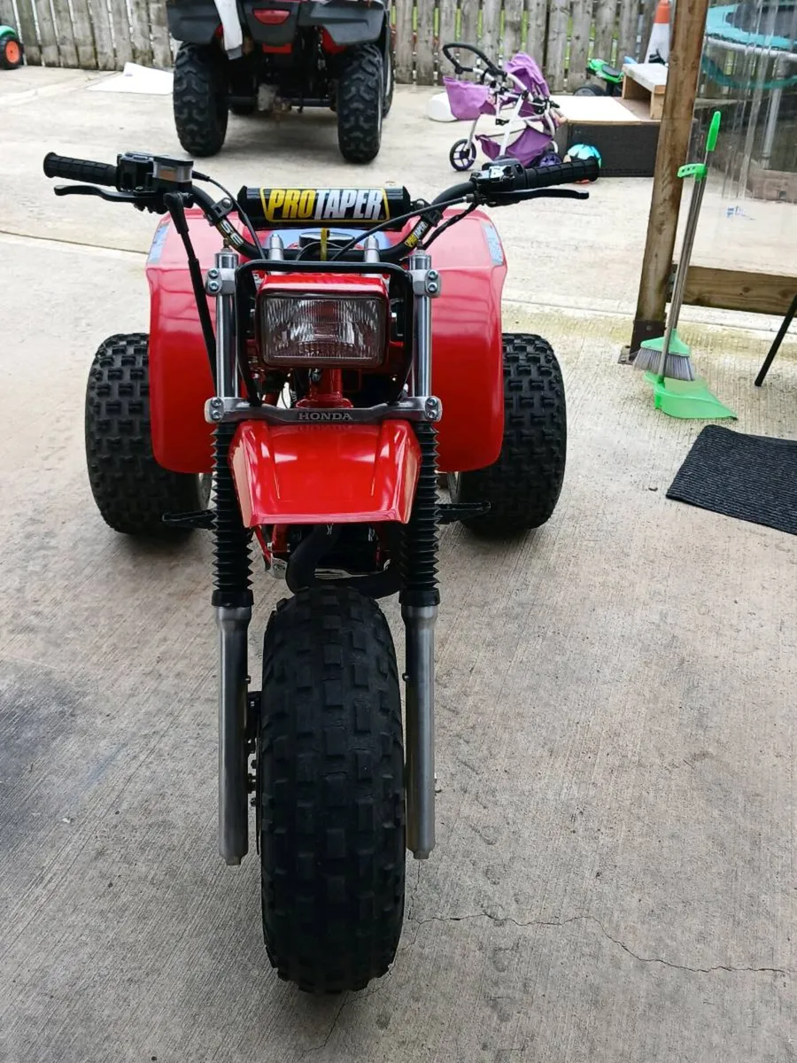 1983 honda 250r trike - Image 3